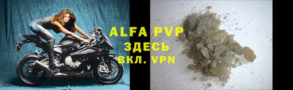 спиды Белокуриха