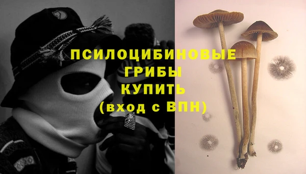 спиды Белокуриха