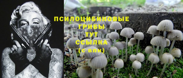 дмт Белоозёрский