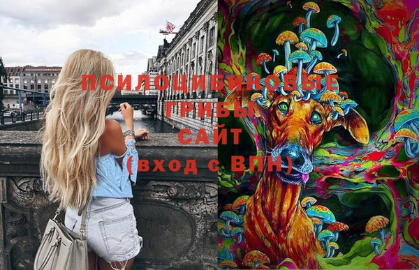 дмт Белоозёрский