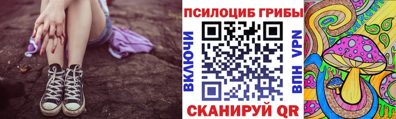 Псилоцибиновые грибы Cubensis  Раменское 